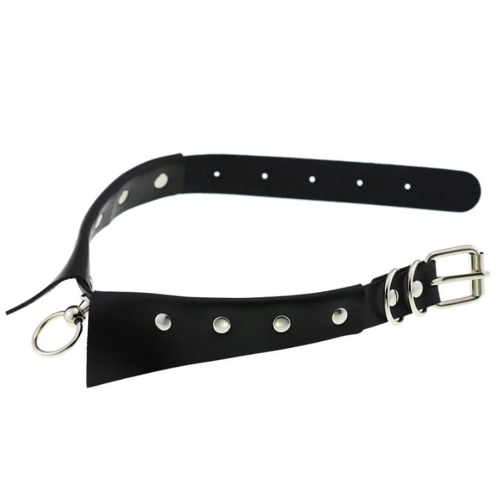 Gothic Fancy Collar Choker - Studded