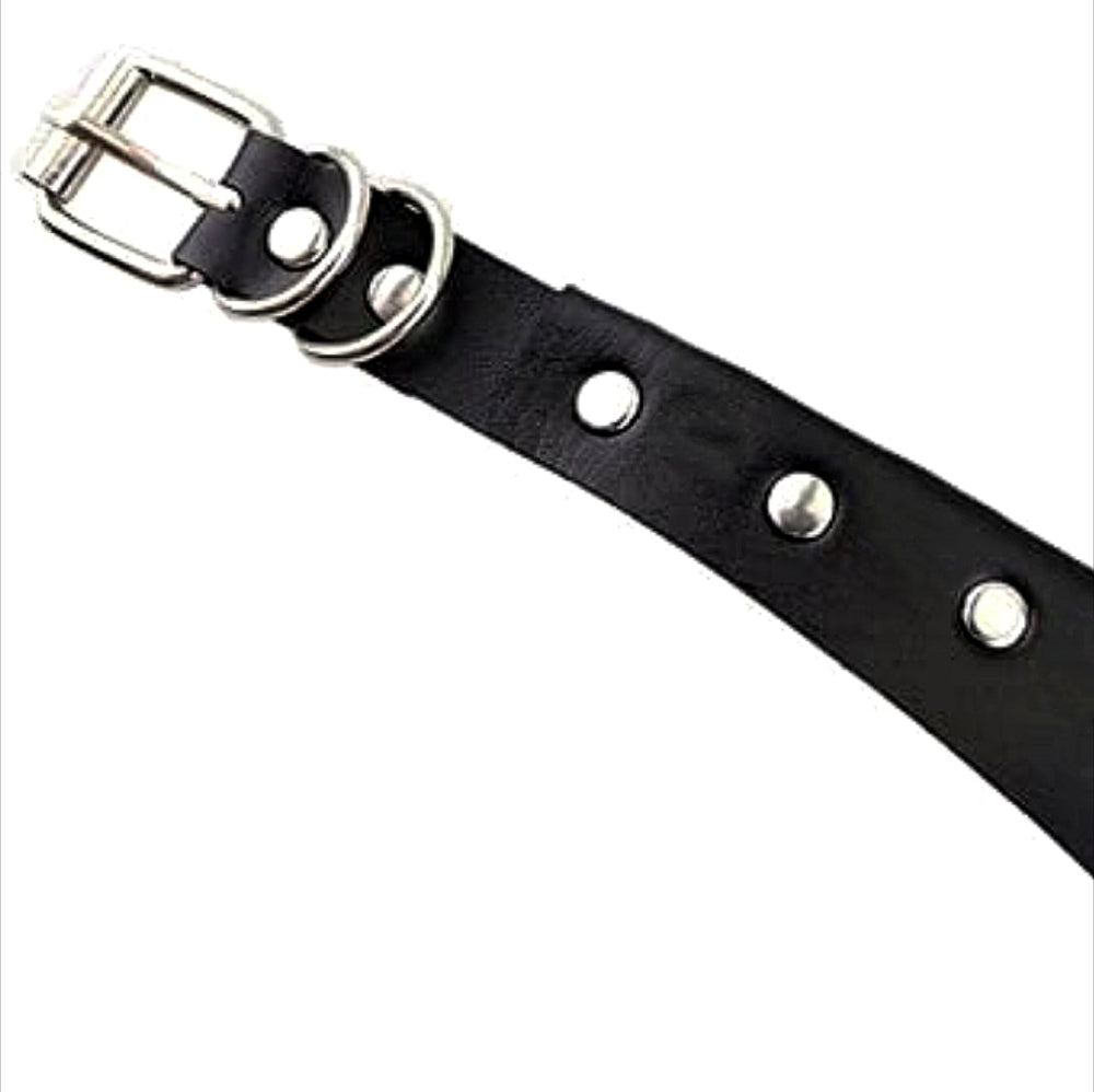 Gothic Fancy Collar Choker - Studded