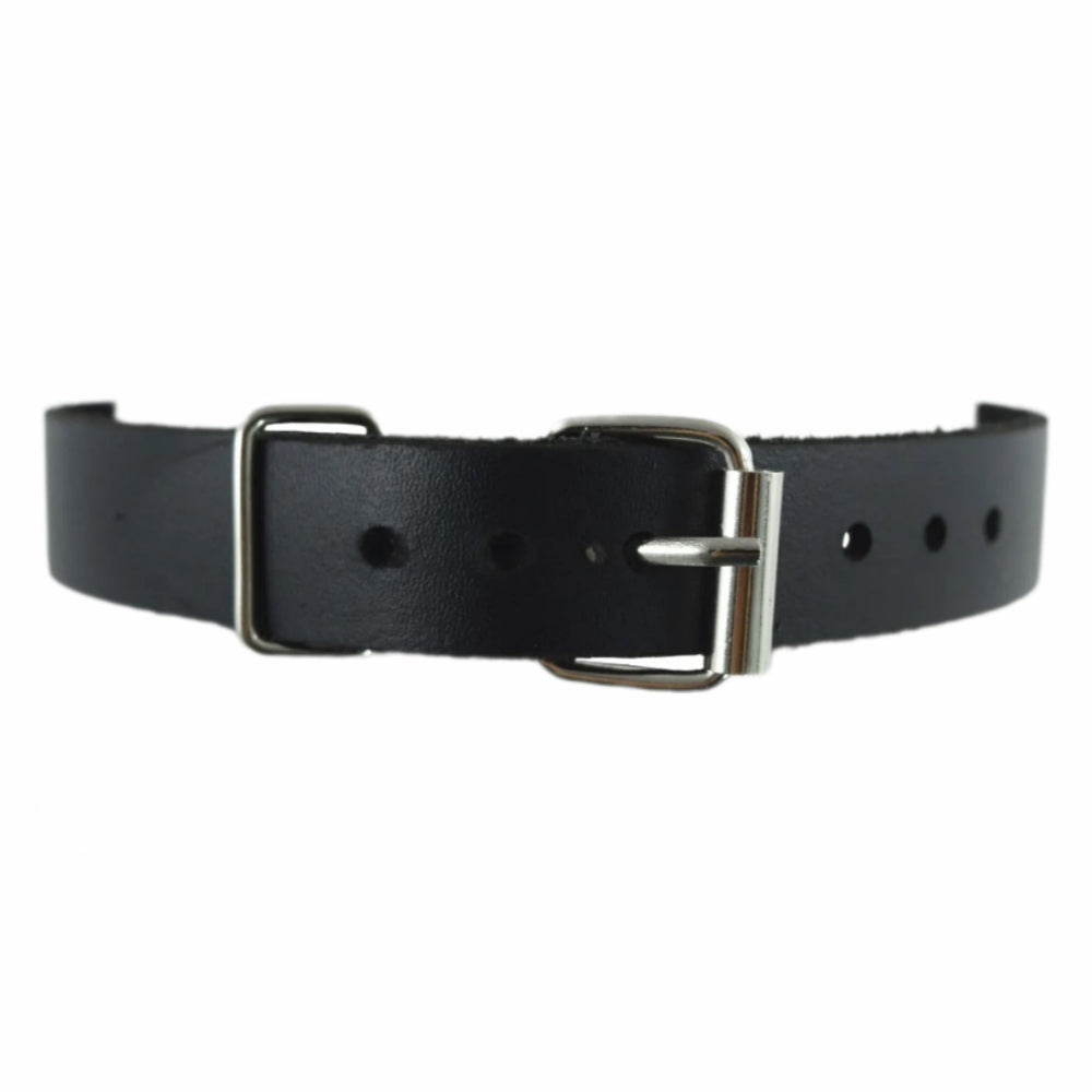 Gothic Falcon Crest Fringed Collar