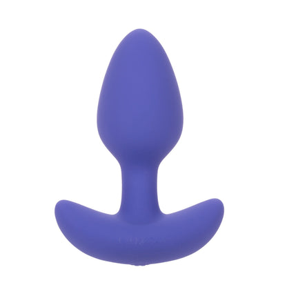 Connect App Based Tapered Probe Butt Plug