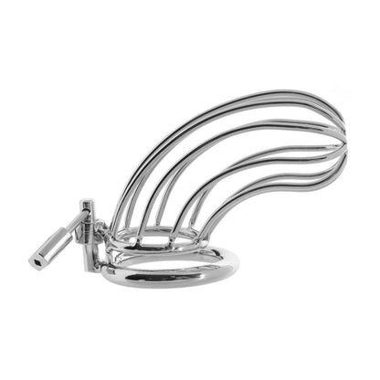 Blue Line Prisoner Chastity Cage Silver