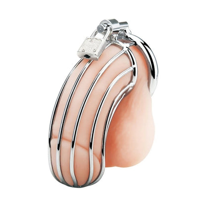 Blue Line Prisoner Chastity Cage Silver