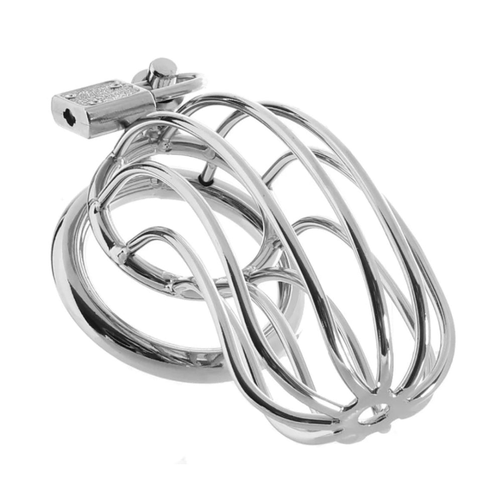 Blue Line Prisoner Chastity Cage Silver