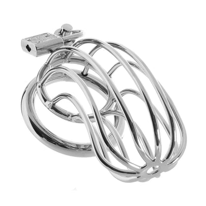 Blue Line Prisoner Chastity Cage Silver