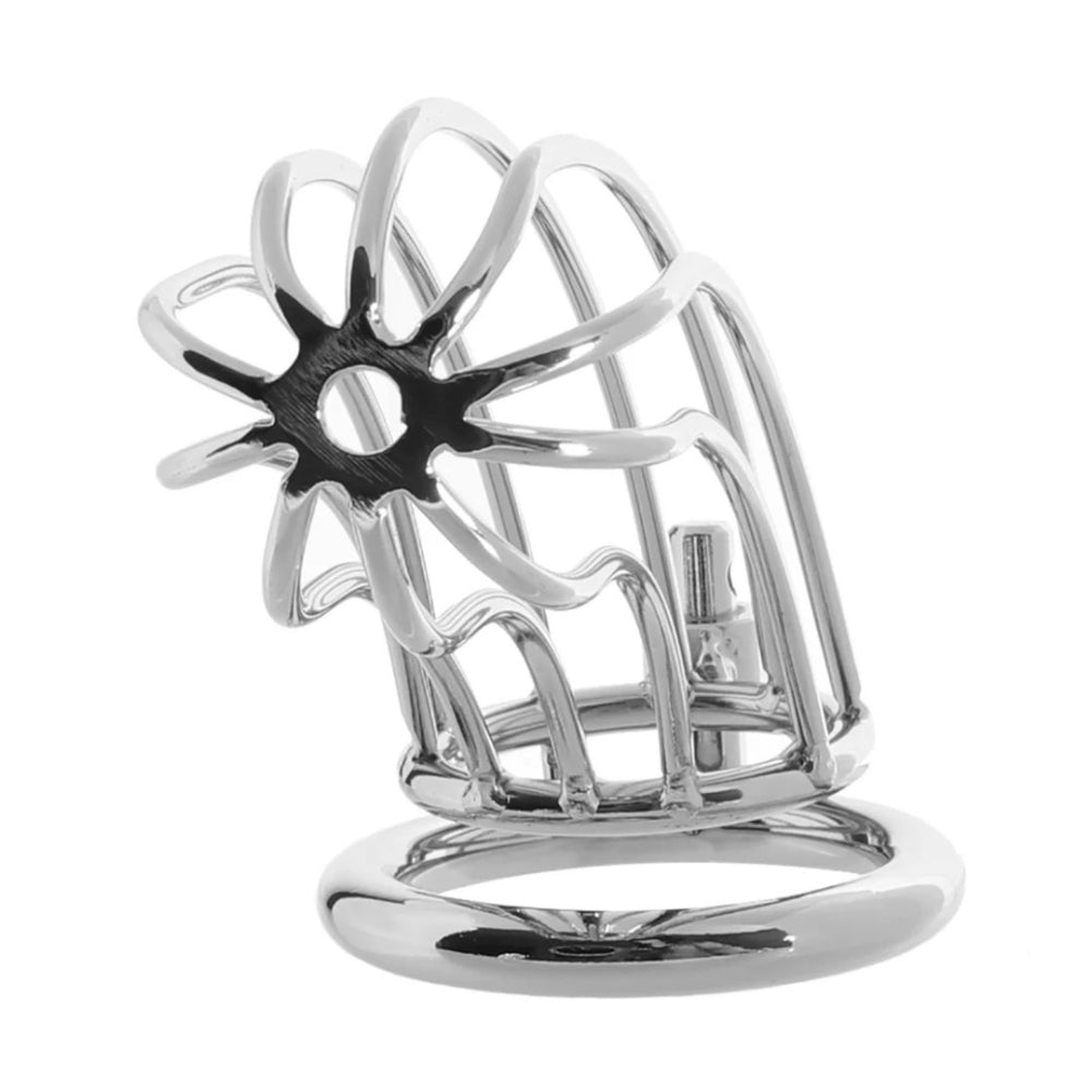 Blue Line Prisoner Chastity Cage Silver