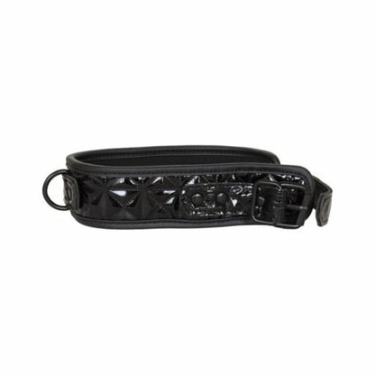 Sinful Collar & Leash