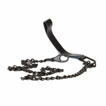 Sinful Collar & Leash